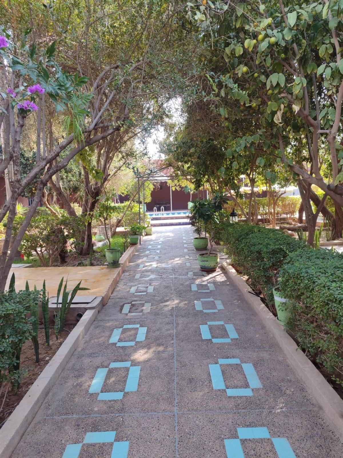 Riad Les Jardins Mabrouk Tarudante Exterior foto