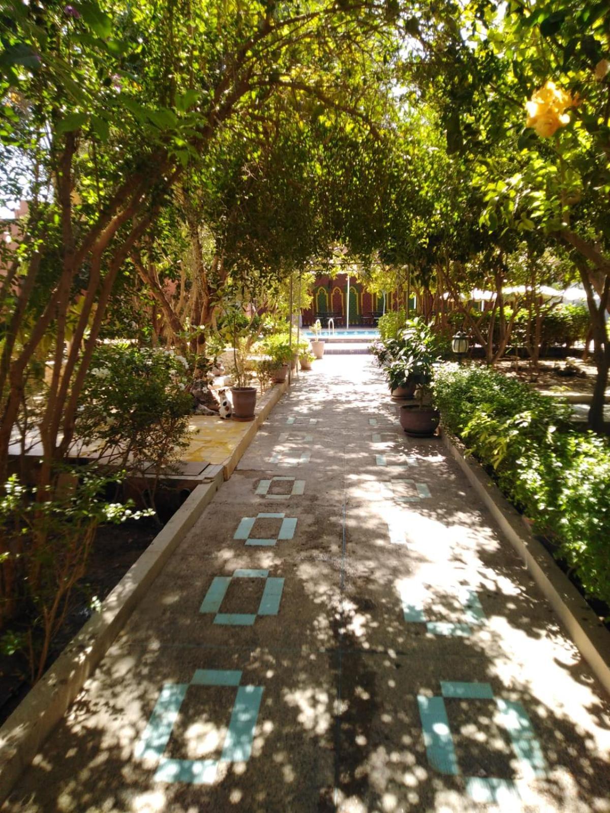 Riad Les Jardins Mabrouk Tarudante Exterior foto